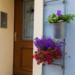 Hotel Blaue Blume Freiberg