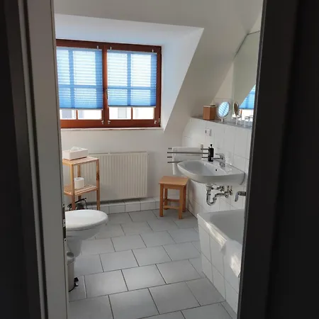 Blaue Blume 弗赖贝格