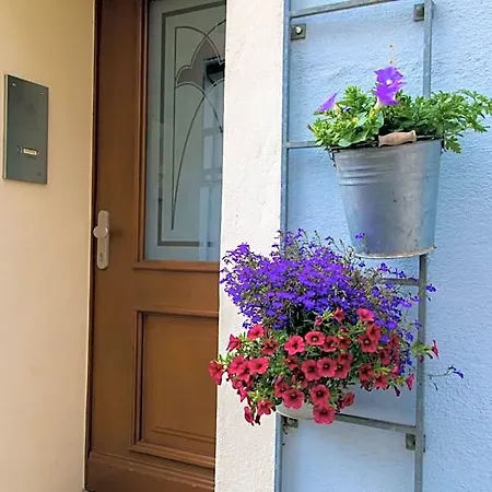Blaue Blume Hotel