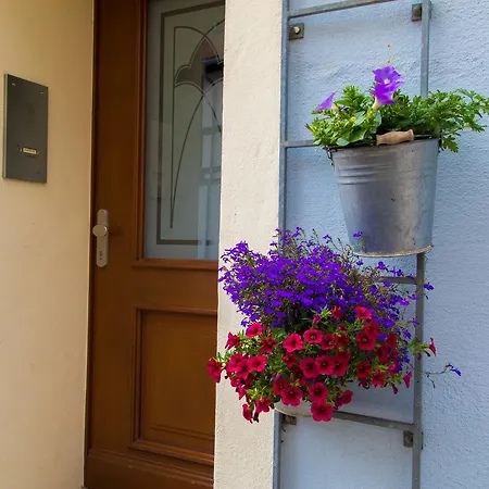 Hotel Blaue Blume Freiberg