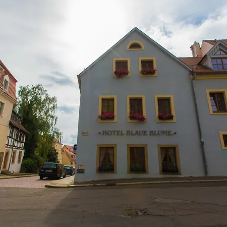 Blaue Blume Hotel 2*