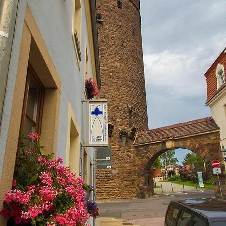 Blaue Blume Freiberg