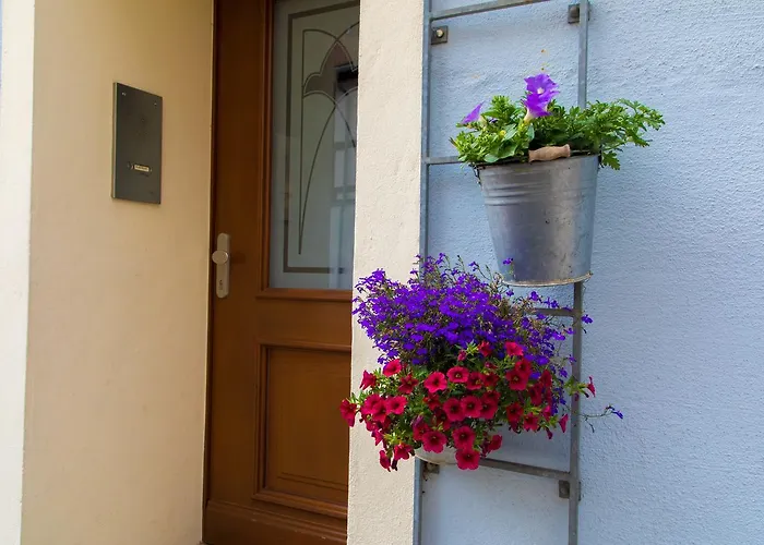 Отель Blaue Blume Фрайберг