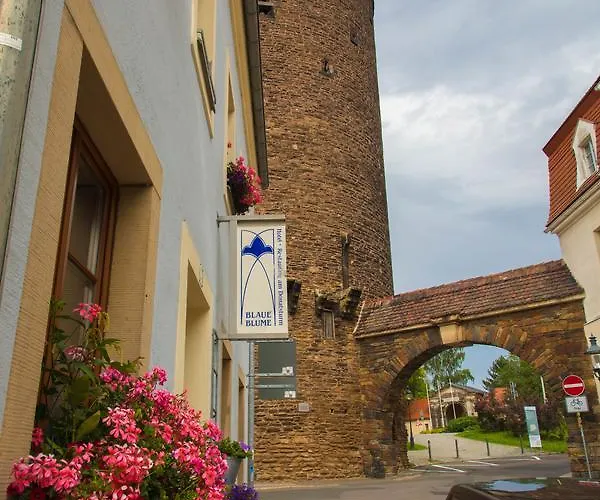 Blaue Blume Фрайберг